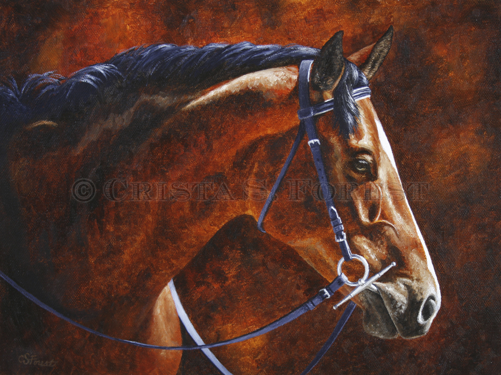 Oil painting of bay Hanoverian horse by equine artist Crista Forest, ForestStudios.com. Fine Art Prints available