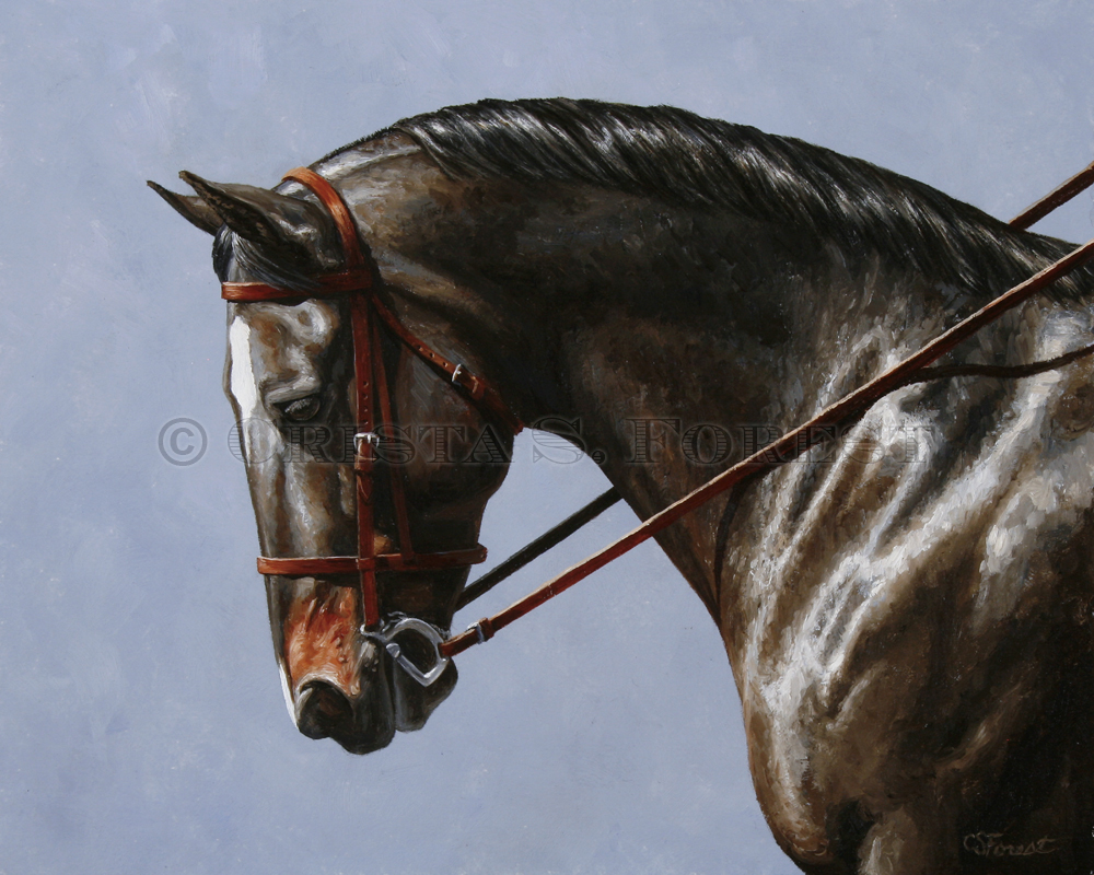 Oil painting of bay dressage horse by equine artist Crista Forest, ForestStudios.com. Fine Art Prints available