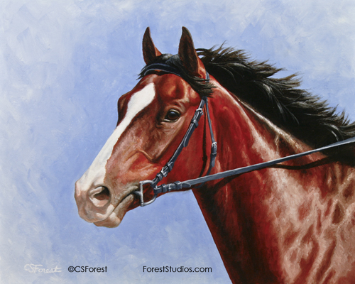 Oil painting of blood bay horse by equine artist Crista Forest, ForestStudios.com. Fine Art Prints available