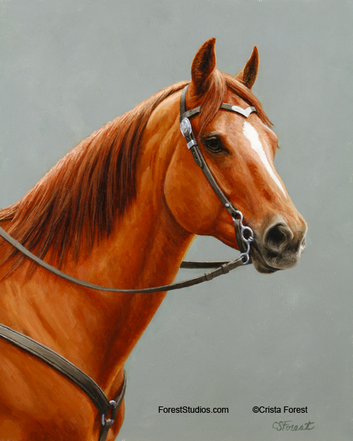 Oil painting of red dun horse by equine artist Crista Forest, ForestStudios.com