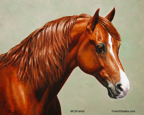 Oil painting of chestnut Morgan horse by equine artist Crista Forest, ForestStudios.com. Fine Art Prints available