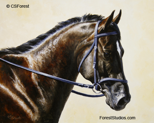 Oil painting of bay dressage horse by equine artist Crista Forest, ForestStudios.com. Fine Art Prints available
