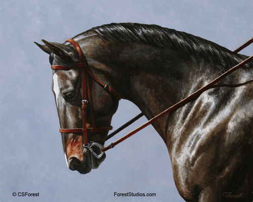 Oil painting of bay dressage horse by equine artist Crista Forest, ForestStudios.com. Fine Art Prints available