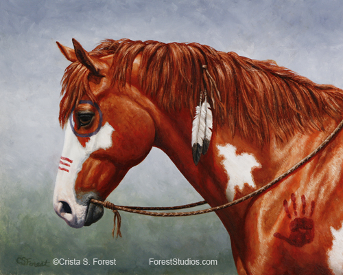 Oil painting of a Native American War Horse by equine artist Crista Forest