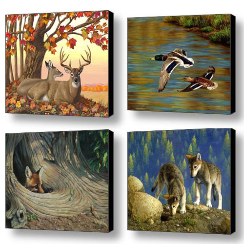 Crista Forest Wildlife Art